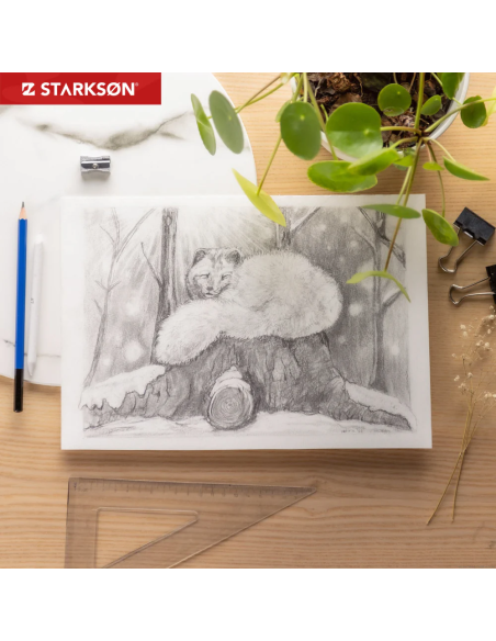 Set 27 Piezas y Lápices de Dibujo Carbocillo y Grafito Starkson